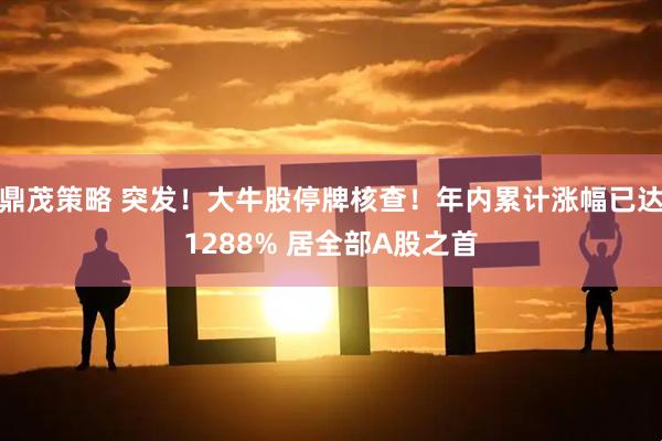 鼎茂策略 突发!大牛股停牌核查!年内累计涨幅已达1288% 居全部A股之首