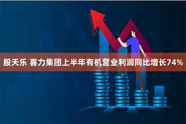 股天乐 喜力集团上半年有机营业利润同比增长74%