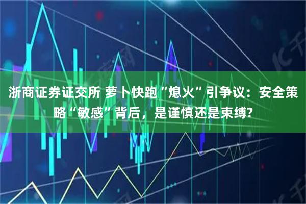浙商证券证交所 萝卜快跑“熄火”引争议：安全策略“敏感”背后，是谨慎还是束缚?