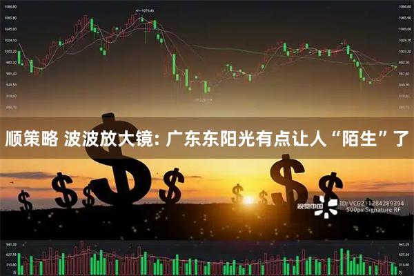 顺策略 波波放大镜: 广东东阳光有点让人“陌生”了