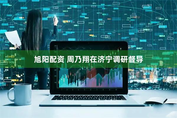 旭阳配资 周乃翔在济宁调研督导